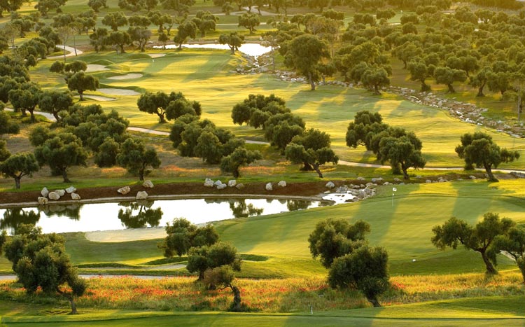Photo of Arcos Gardens Golf & Country Club