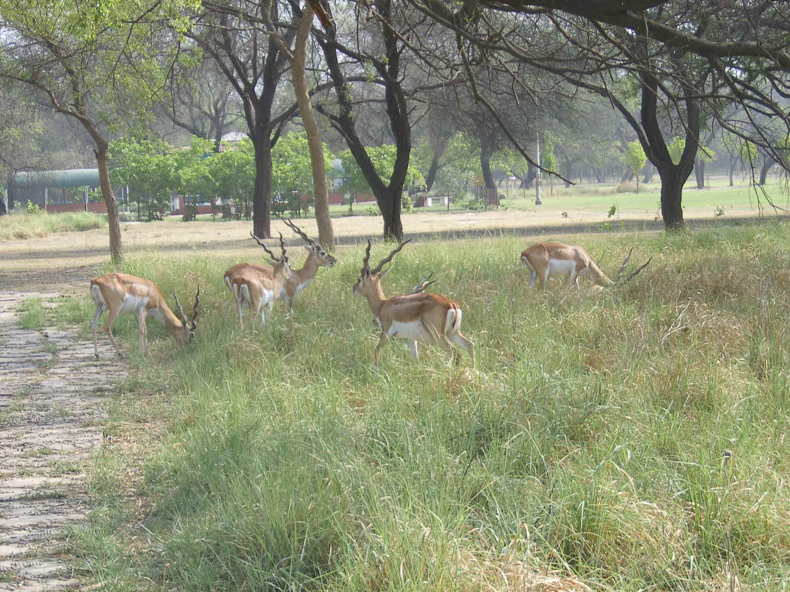 Photo of Mepta Golf Course