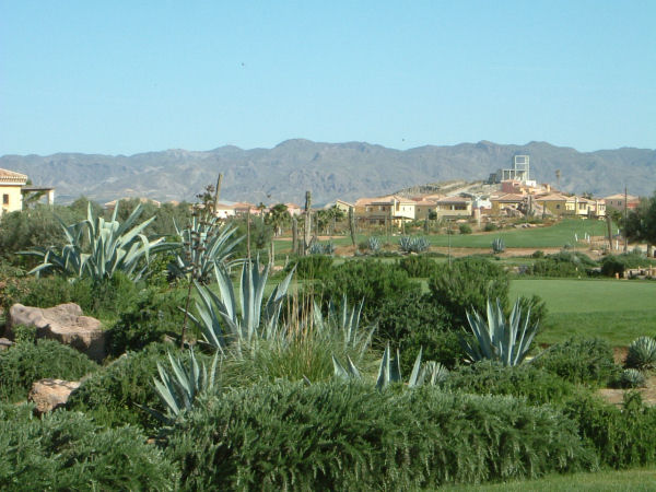 Photo of Desert Springs Golf Resort