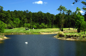 Photo of Indigo Creek Golf Club