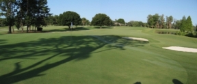 Photo of Palmetto Pines Golf Course