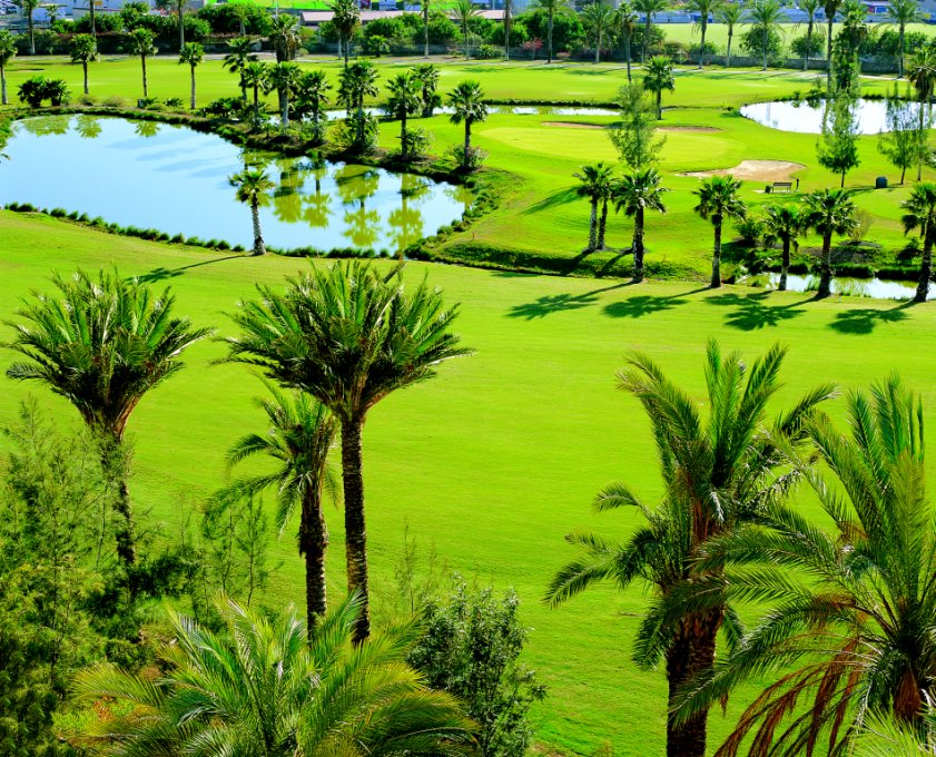 Photo of Golf las Americas