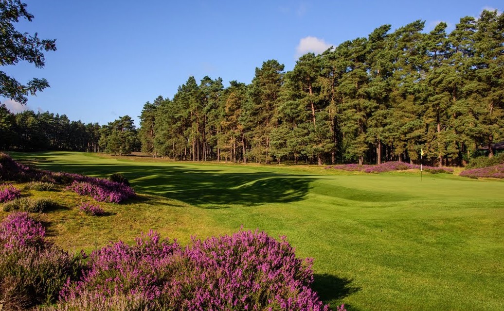 New Zealand Golf Club TheSocialGolfer