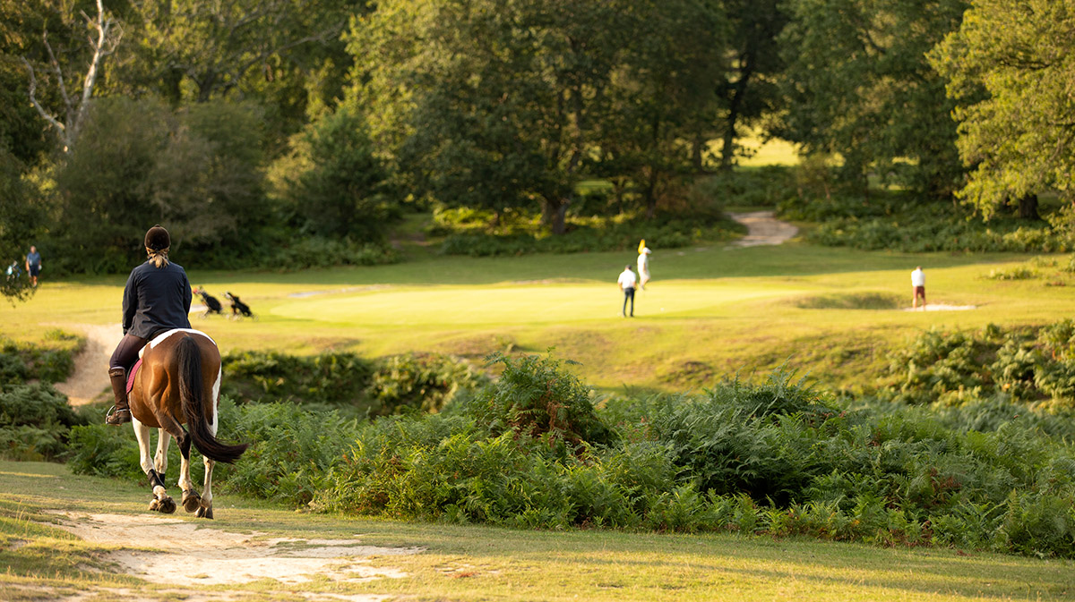 Bramshaw Golf Club TheSocialGolfer