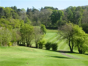 Image of the grounds at Blairbeth Golf Club