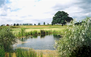 Image of the grounds at North Weald Golf Club