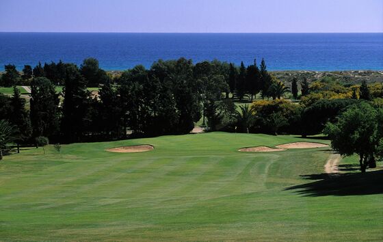 Photo of Palmares