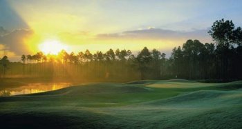 Photo of LPGA International
