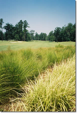 Photo of Colonial Golf Course