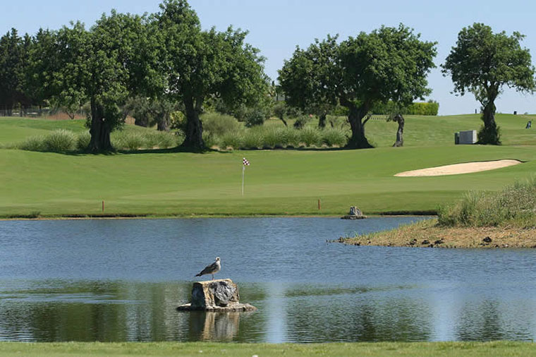 Photo of Benamor Golf Club
