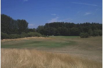 Photo of Thorney Park Golf Club