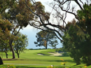 Torrey Pines