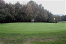 Taylor stalks the green...
