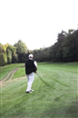 Crane struggles to reach the green...