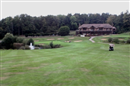 But it's to the 18th green to see the patrons...