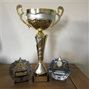 The 2017 WGS Autumn Challenge Cup won by Steve Flint with a score of 35 points 