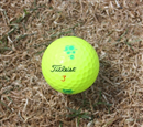 Don't forget the yellow ball guys - they've been marked!