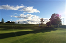 A barmy afternoon in the Kent sunshine...