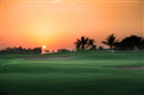 The Westin Abu Dhabi Golf Resort & Spa - 5* luxury with all the facilities you could imagine, stunning golf on-site and great value deals...https://www.golf-escapes.com/the-westin-abu-dhabi-golf-resort--spa