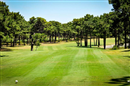 Aroeira Lisbon Hotel - Sea & Golf Resort offers a superb Semi All-inclusive escape to Lisbon. With a wide range of golf, a relaxing hotel and golden sandy beaches - it's everything you deserve...all from £339

https://www.golf-escapes.com/aroeira-lisbon-ho