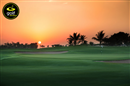 Looking for some winter sun? Abu Dhabi has grown in popularity to become a fantastic golfing destination and the perfect place to escape the bad weather.