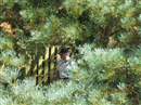 Cottesmore - Phoenix - John Wyatt on the watch tower (14th?)