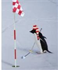 Logo for golf society North Jersey Winter Golf - Paul Zucker Organizer