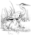 Heron Golf Society