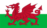 TSG South East Wales